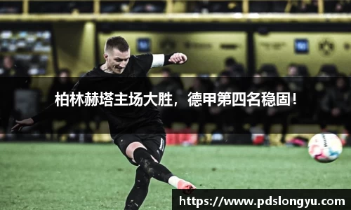 智博19有限公司