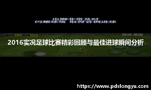 智博19有限公司