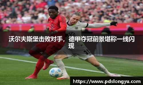 智博19有限公司