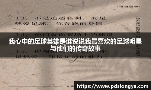 智博19有限公司