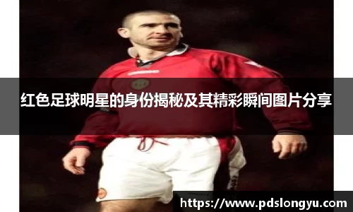 智博19有限公司